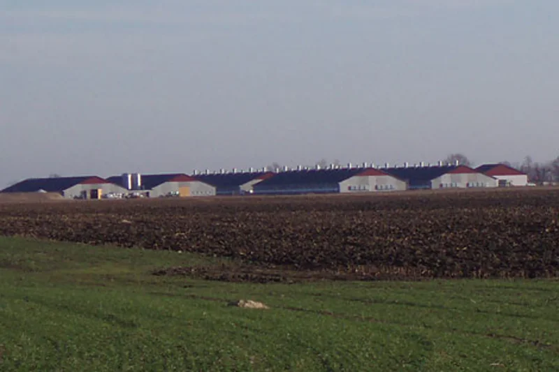 Modern poultry growing in six new poultry houses