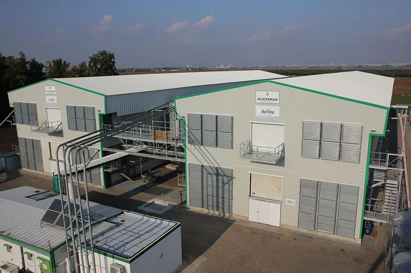 Remodeled houses for pullet rearing Remodeled houses for pullet rearing