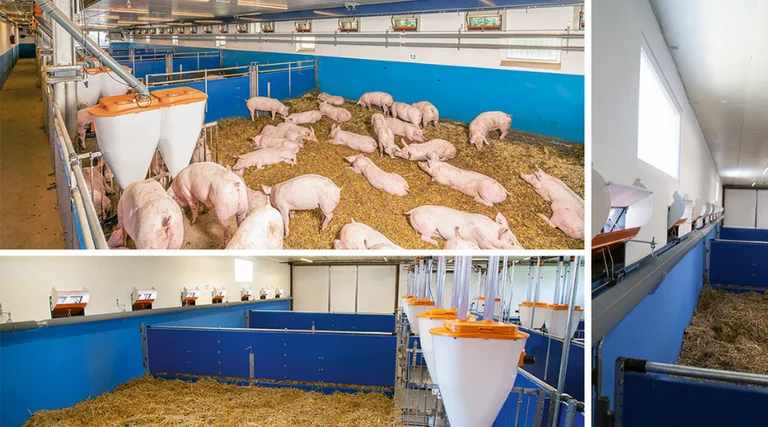 Xaletto straw bedding concept 