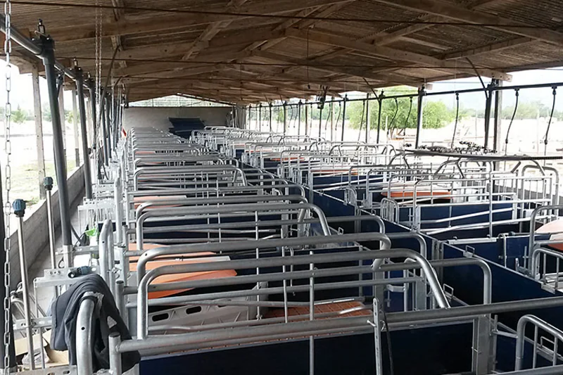Long farrowing house Long farrowing house