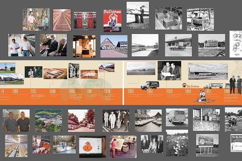 Big Dutchman timeline Big Dutchman timeline