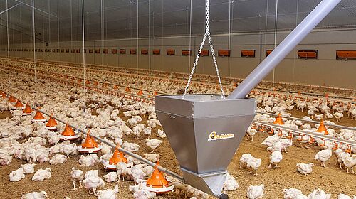 Augermatic poultry feeding system 