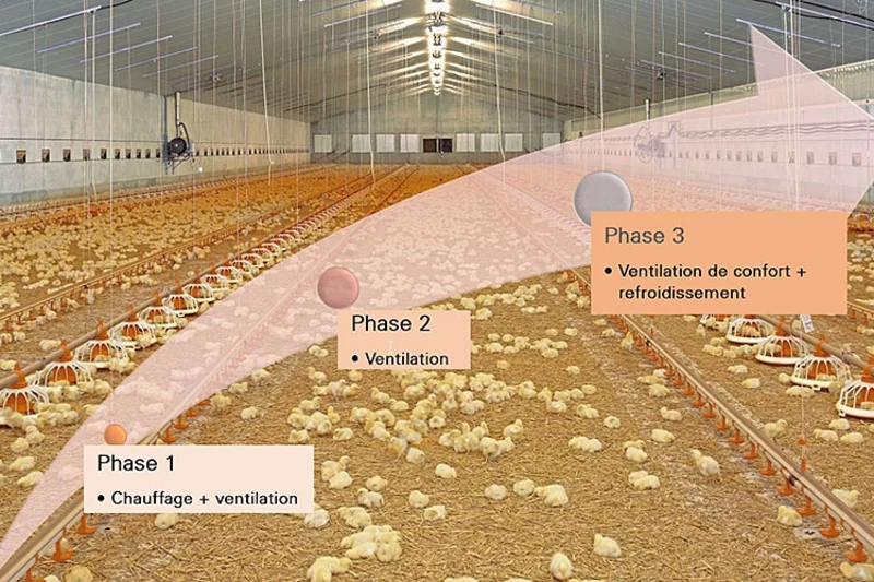 Fini l’air poisseux dans le bâtiment d’élevage de poulets de chair Fini l’air poisseux dans le bâtiment d’élevage de poulets de chair