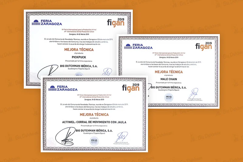 Los diplomas Los diplomas