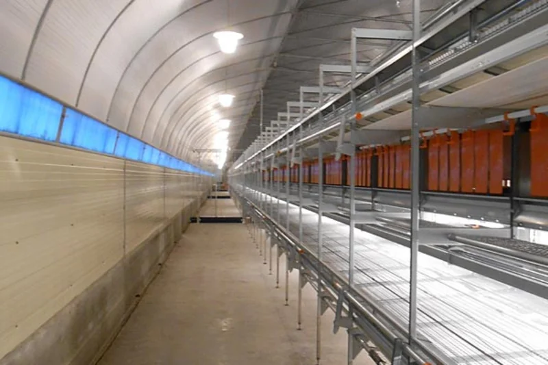 Élevage en volière NaturaStep : Les poules peuvent circuler librement sous les volières 