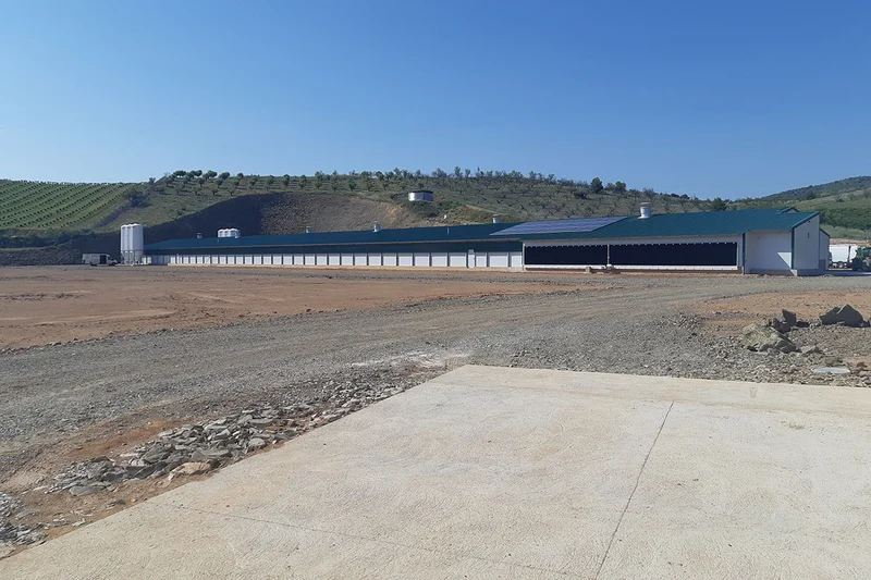 Building for broiler production