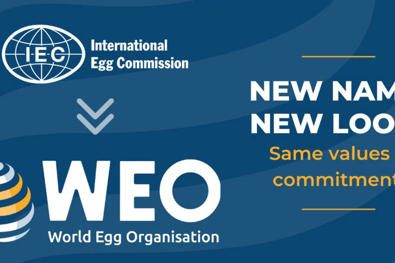 New name, new look! Same values & commitment. New name, new look! Same values & commitment.