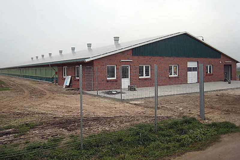 Organic egg production in a new poultry house: efficient aviary management in Wittmund, northern Germany