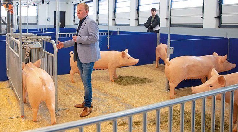 Farm manager in the pig house.