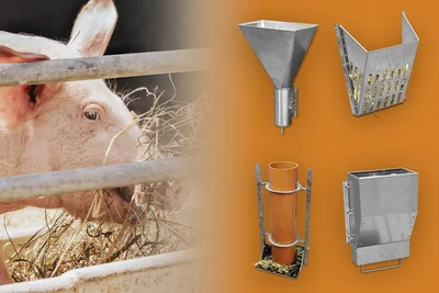 Schwein und vier verschiedene Raufutterspender Schwein und vier verschiedene Raufutterspender