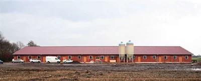 BFL-Investitionsumfrage Landwirtschaftliches Bauen BFL-Investitionsumfrage Landwirtschaftliches Bauen