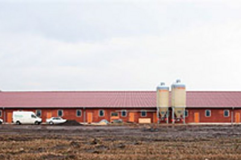 BFL-Investitionsumfrage Landwirtschaftliches Bauen