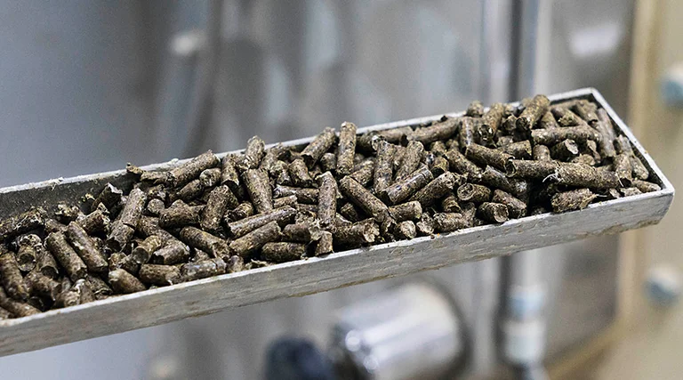 Pellets