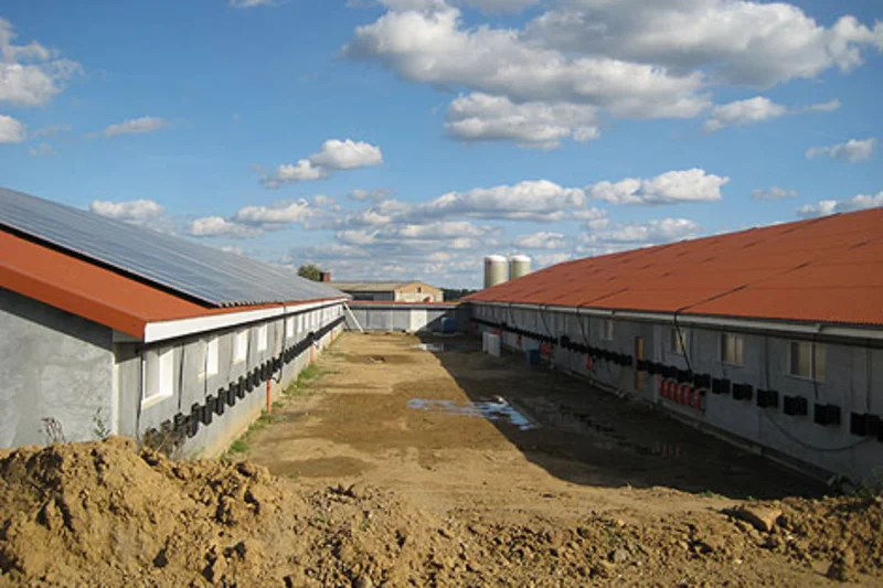 Two successful new houses with Big Dutchman poultry systems for breeder management Two successful new houses with Big Dutchman poultry systems for breeder management