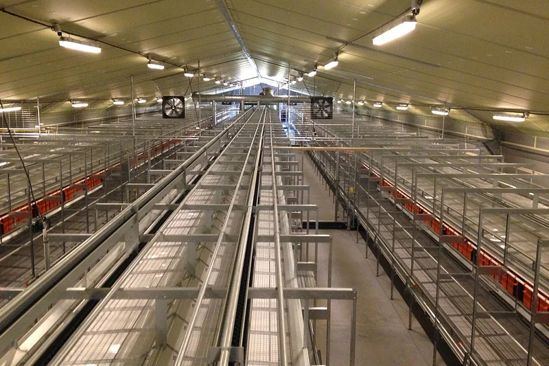 Top view of the aviary systems Top view of the aviary systems