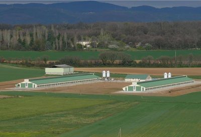 Deux poulaillers pour l'élevage plein air