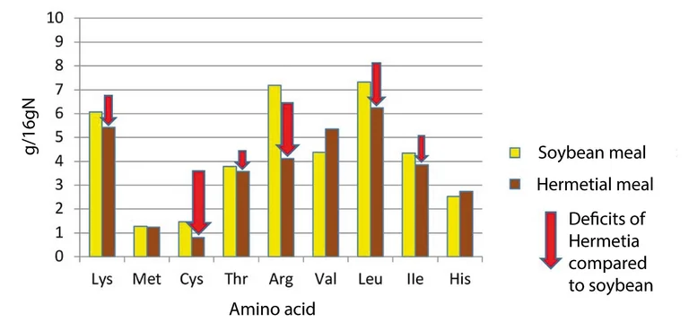Figure 1: Comparison of amino acid contents (g/16gN) of soybean meal and Hermetia illucens insect meal. Source: S. Velten, F. Liebert Figure 1: Comparison of amino acid contents (g/16gN) of soybean meal and Hermetia illucens insect meal. Source: S. Velten, F. Liebert