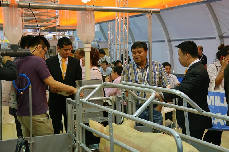 Sow feeding systems: Farrowing pen with EasySlider  