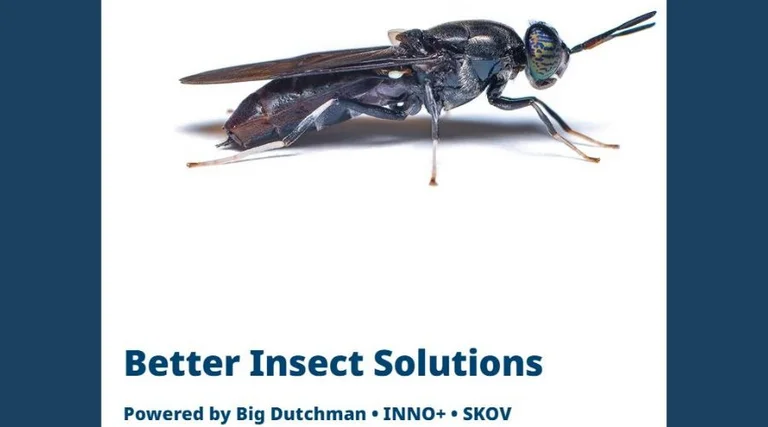 Insektenzucht | Better Insect Solutions Insektenzucht | Better Insect Solutions