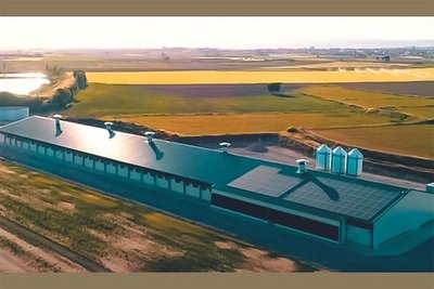 Cría de pollitas | Construcción nueva llave en mano de una nave para 100.000 pollitas