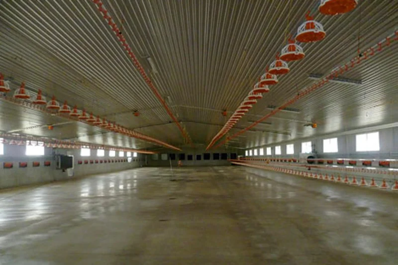 Hähnchenmast: Tag der offenen Stalltür Hähnchenmast: Tag der offenen Stalltür