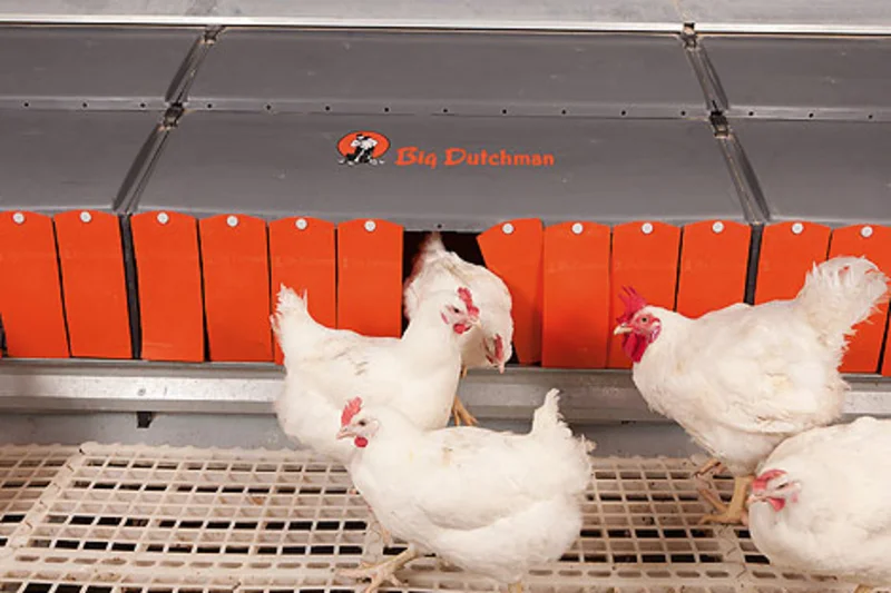 Group laying nest “Relax” for broiler breeder management Modern poultry production: intelligent breeder management with group laying nest “Relax”