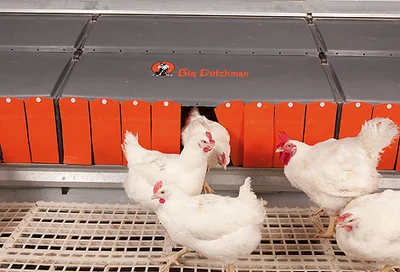 Breeder management innovations and broiler cage AviMax transit exhibited at VIV Russia 2013 Innovative systems for breeder management / broiler cage AviMax transit