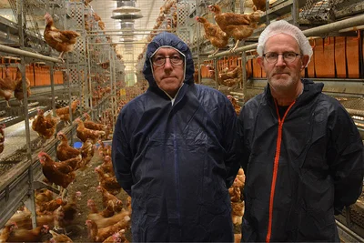 Dominique Bazin (Pier Services, à gauche) et le producteur d'œufs Sébastien Robic dans la nouvelle volière. Dominique Bazin (Pier Services, à gauche) et le producteur d'œufs Sébastien Robic dans la nouvelle volière.