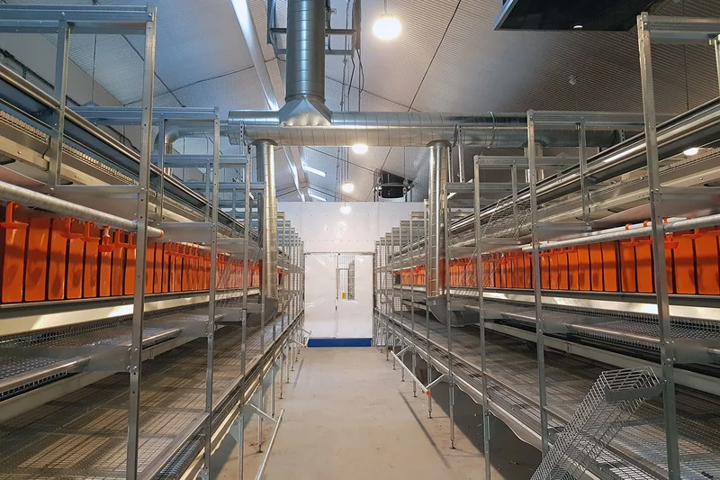 Nieuwe stal voor 12.000 biologische legehennen Nieuwe stal voor 12.000 biologische legehennen