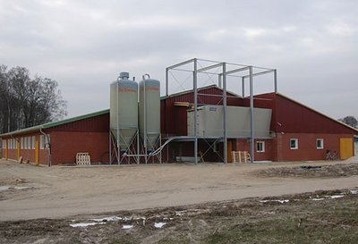 Le nouveau bâtiment pour l’élevage de porcelets