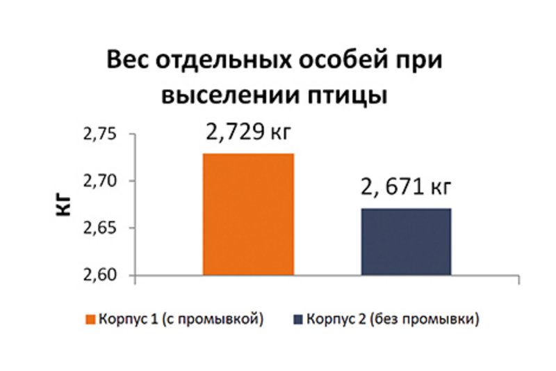 Содержание птицы: "внутренняя суть" биопленки