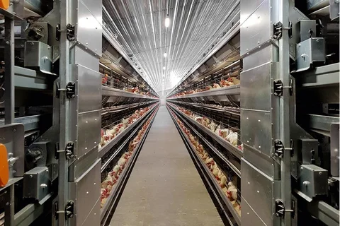 Feed cart FC-V