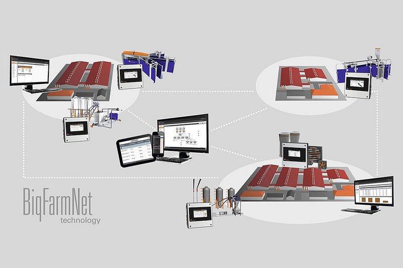 BigFarmNet: grafico rete