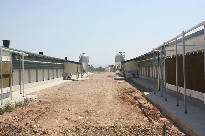 El sistema de refrigeración RainMaker se instala en las paredes exteriores de las naves para el manejo de reproductoras pesadas. El sistema de refrigeración RainMaker se instala en las paredes exteriores de las naves para el manejo de reproductoras pesadas.