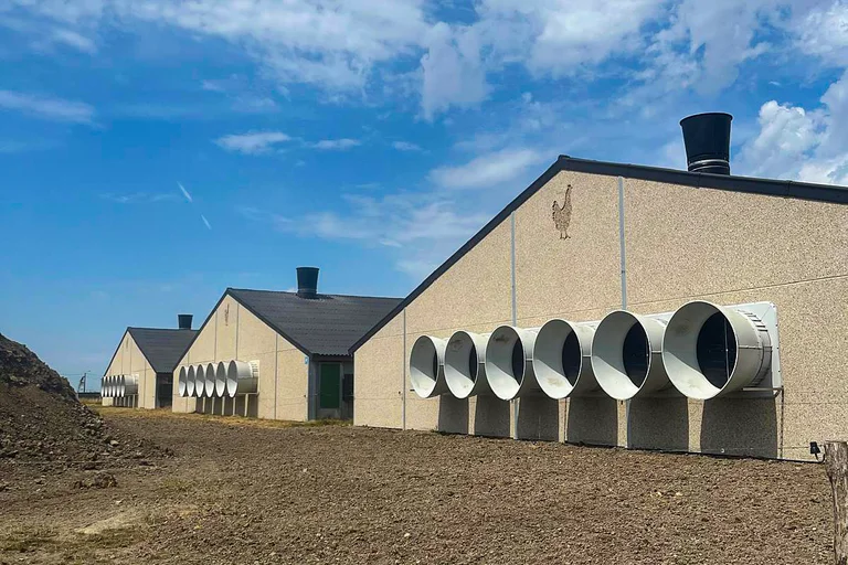 Three houses with fans