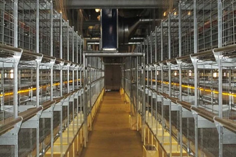 Egg production on two levels with modern poultry systems
