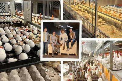 Dans son Eggsperience Center, la famille Claessens-Jenniskens a développé un nouveau concept pour l'élevage des poules pondeuses – des idées innovantes mises en pratique par plusieurs générations d'éleveurs. Quatre membres de la famille ensemble