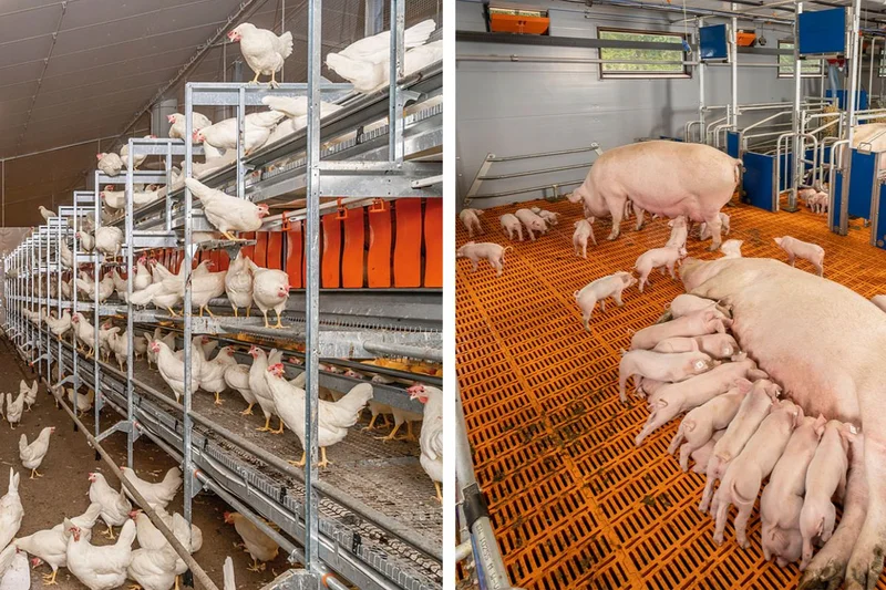 Natura Step XL aviary system | Agilo FB Natura Step XL aviary system | Agilo FB