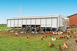 Mobile house for barn, free range and organic egg production