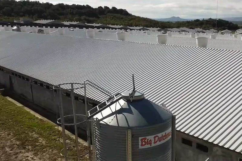 Produzione suinicola | Foto del progetto visto dall’alto