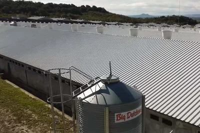 Élevage de porcs | Projet vu du ciel Élevage de porcs | Projet vu du ciel