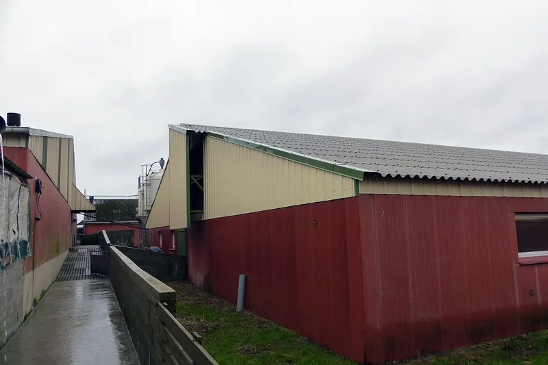 Aufzuchtstall mit Stalleinrichtungen und Fütterungsanlagen von Big Dutchman Aufzuchtstall mit Stalleinrichtungen und Fütterungsanlagen von Big Dutchman