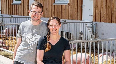 Engraissement de porcs | Couple devant la zone extérieure 