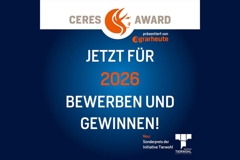 Bewerbungsschluss ist der 31. März 2026