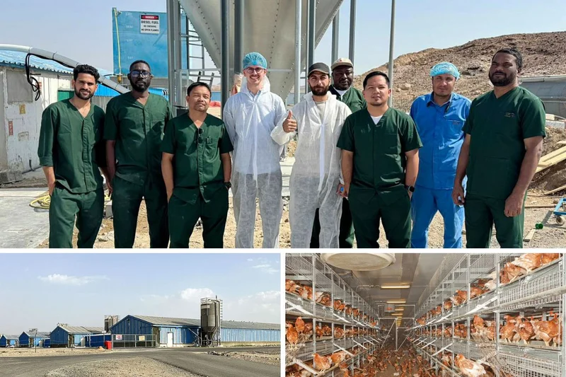 Impianti di voliere a Dubai