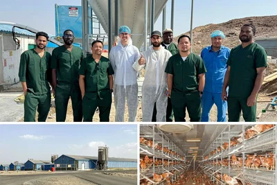 Impianti di voliere a Dubai