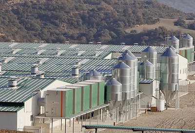 Efficient AirProTec filtration system installed in a breeder farm