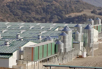Unités de filtration AirProTec installées dans une ferme d'élevage en Espagne Unités de filtration AirProTec installées dans une ferme d'élevage en Espagne