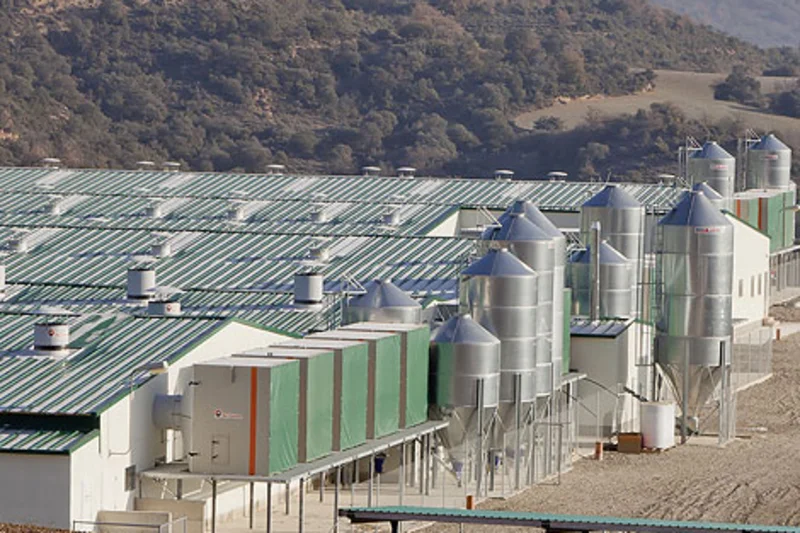 Efficient AirProTec filtration system installed in a breeder farm