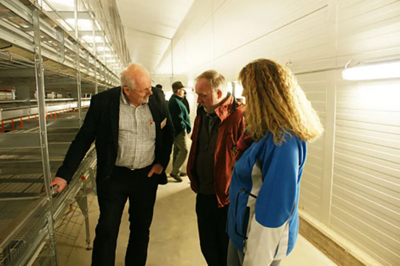 Visitors in the poultry house Visitors in the poultry house